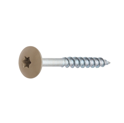 Montageschraube aus Metall mit flachem, beigem Kopf und Torx-Antrieb