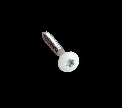 Montageschraube aus Metall mit weißem rundem Kopf und Torx-Antrieb